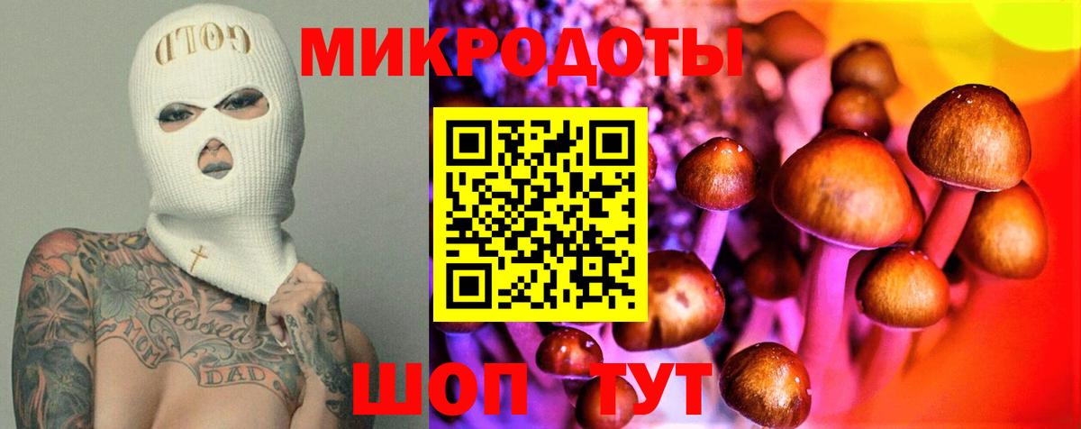 Псилоцибиновые грибы прущие грибы  Вход с VPN  Кореновск  Псилоцибиновые грибы Psilocybe 